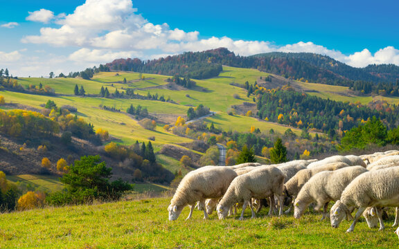 Mountain landscape in the Pieniny National Park at the foot of the Tatra Mountains