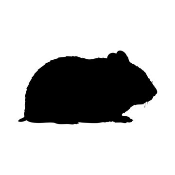Hamster silhouette vector illustration