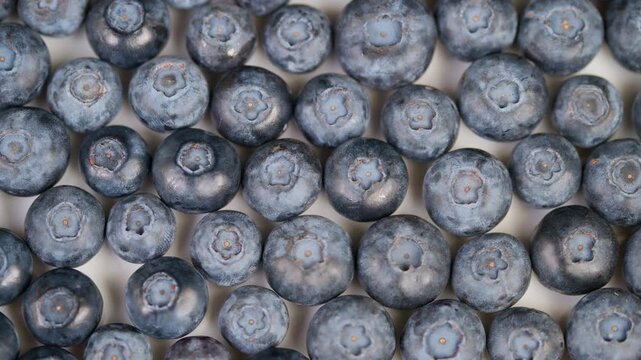 Bright berry showcase. Colorful fruit with soft glow. Luminous assortment of berries with delicate lighting. Vivid array of fruits illuminated with subtle lighting effects