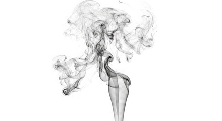 Fototapeta premium A woman's silhouette made of smoke on transparent background