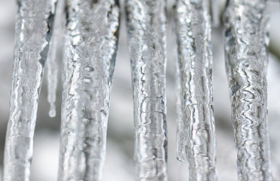 Canada, BC, Delta.  Long icicles outside of a window