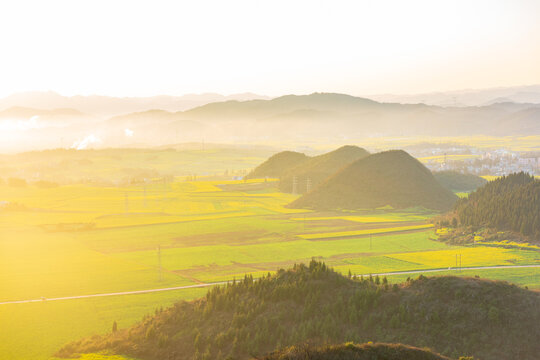 Rapeseed flowers at sunset in Jinji Peak Cluster, Luoping, Yunnan