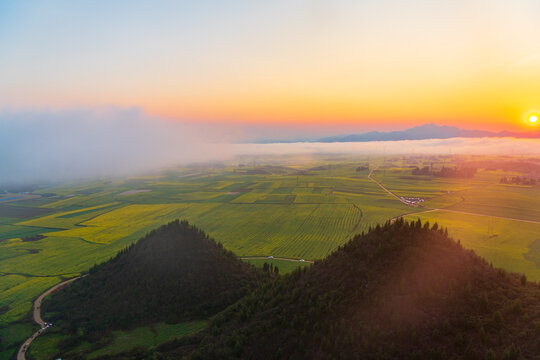 Rapeseed flowers at sunset in Jinji Peak Cluster, Luoping, Yunnan