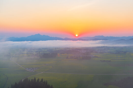 Rapeseed flowers at sunset in Jinji Peak Cluster, Luoping, Yunnan