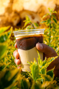 comida, food, gastronomia, cafe, reposteria, postres
pasteleria, comida, reposteria, gastronomia , postres