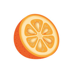 A vibrant orange citrus fruit half, showing juicy segments and a textured peel on a white background. Vector illustration of a kumquat or small orange.