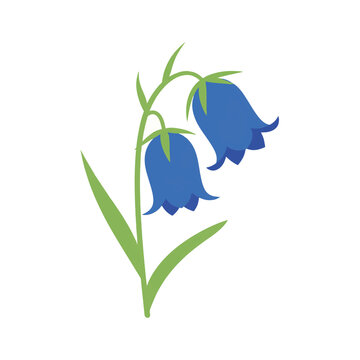A simple, stylized illustration of two blue bell-shaped flowers with green stems and leaves against a white background.