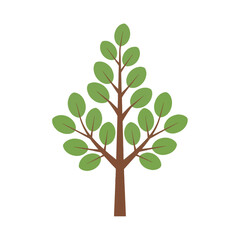 Obraz premium A simple, stylized illustration of a deciduous tree with a brown trunk and branches, and green oval-shaped leaves against a white background.