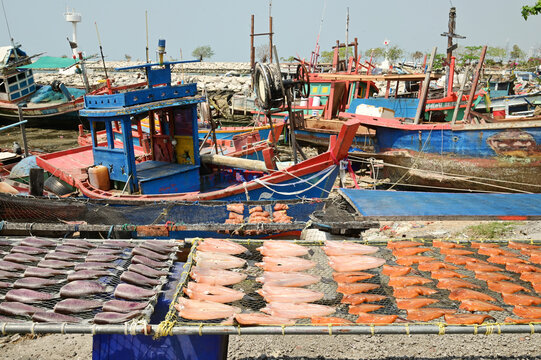 Fish are sun-dried on nets outdoors, with fishing boats anchored far away, at Ban Amphoe beach.