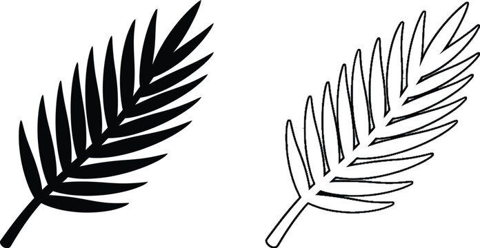 Black and white fern leaf illustration isolated on transparent background, Vector