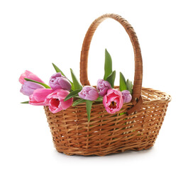Beautiful flowers in wicker basket on white background
