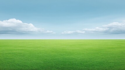 Fototapeta premium Lush Green Grass Field Under a Bright Blue Sky with Soft Clouds in a Serene Natural Landscape Environment