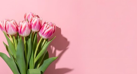 Obraz premium Happy mother's day wishes with beautiful pink tulips bouquet