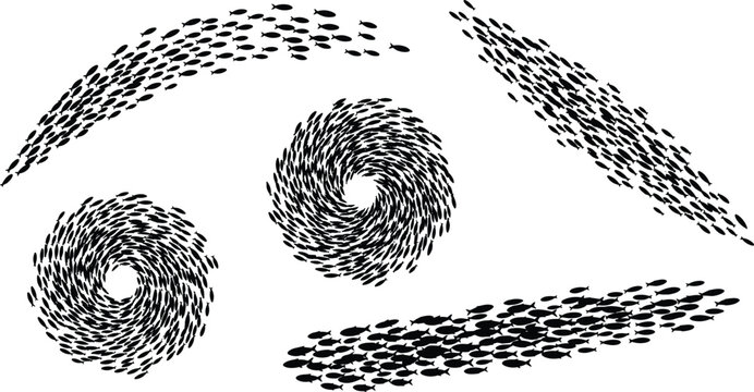 School of fish shoal silhouettes set in various shapes including swirl circle and wave patterns isolated on white background vector illustration