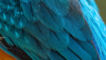 Obraz premium Close-up view of vibrant blue parrot feathers showcasing intricate texture and pattern in a natural outdoor setting