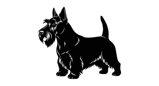 Resilient Scottish Terrier Silhouette Standing Firmly Tail Up