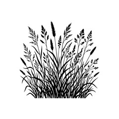 Fototapeta premium grass silhouette isolated on white