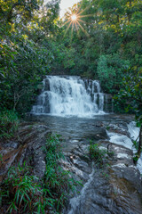 Obraz premium Lush green rainforest ecosystem showcasing a multi-tiered waterfall cascading down rocks with sparkling sunrays penetrating dense canopy, highlighting nature's beauty and untouched wilderness