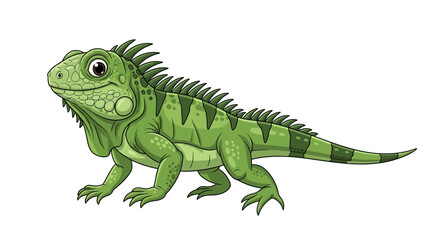 Obraz premium A vibrant green iguana standing on a clean white background.