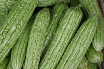 Fototapeta premium bitter melon also known as bitter gourd, a widely consumed vegetable in many tropical and subtropical regions. 