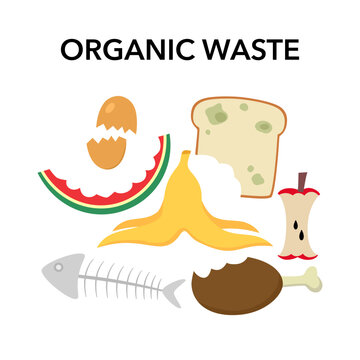Natural organic waste, spoiled food scraps used for composting. Rotting food. Expired food. Watermelon rind, moldy bread, eggshells. Waste sorting, ecological habit, ecological problem.