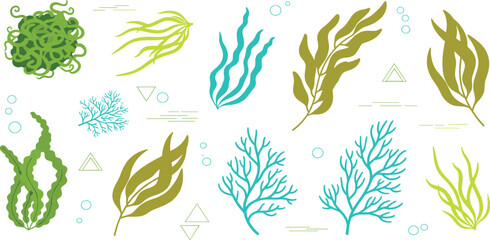 Cute Underwater Seaweed Coral Icons Set with Kelp Algae Bubbles Geometric Shapes Ocean Plants Leaves Branches for Marine Aquarium Tropical Website App Vector Illustration © Fahim
