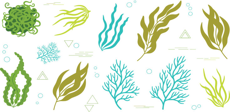 Cute Underwater Seaweed Coral Icons Set with Kelp Algae Bubbles Geometric Shapes Ocean Plants Leaves Branches for Marine Aquarium Tropical Website App Vector Illustration