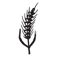 Obraz premium Hand drawn cereal wheat oat rye barley rice ears spikelet clipart Organic wheat bread agriculture farming harvest healthy food Single element for print packaging label design decor