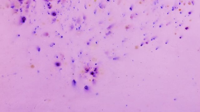 Natural plant based dye creates a unique violet texture on handmade recycled paper. Abstract closeup shows a creative stop motion pattern with purple craft sheets. 