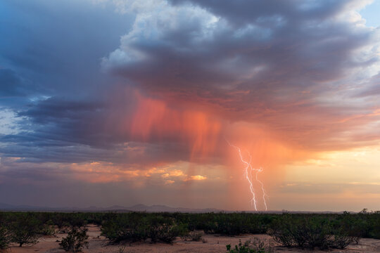 Sunset storm clouds with lightning in New Mexico