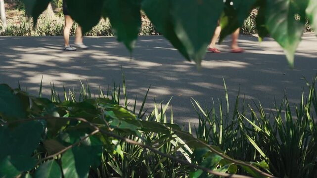 People walking and running in a park at noon with leaves and bushes in foreground
