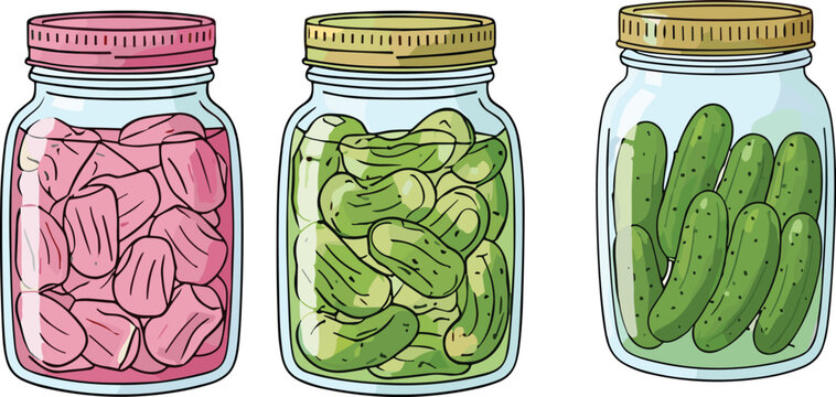 Hand Drawn Pickled Vegetables Jar Vector Set with Pickled Radish Cucumber and Gherkin Glass Jars Illustration
