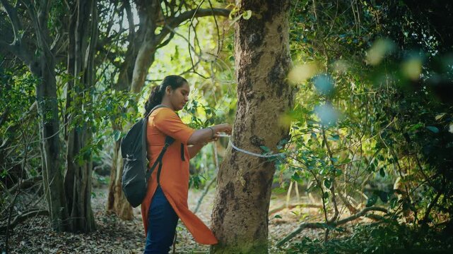 Indian Forester measuring tree trunk with tape in Tropical dry evergreen Forest