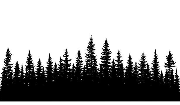 Dense pine forest silhouette vector woodland treeline landscape isolated on white background