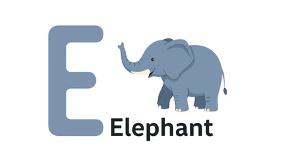 Obraz premium Educational alphabet card for the letter E featuring a cute gray elephant and the word elephant on a clean white background.