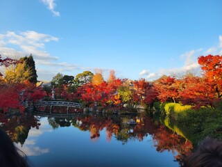 Obraz premium autumn in Kyoto Japan 