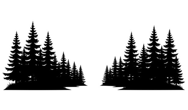 Forest clearing silhouette vector with conifer trees woodland scene isolated on white background
