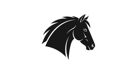 Fototapeta premium Majestic black horse head in dynamic profile view