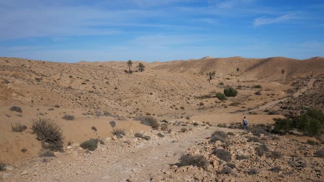 Tourist hiking through arid desert landscape near Matmata, Tunisia. Lone traveler walking across rocky valley with sparse vegetation and palm trees under wide blue sky
