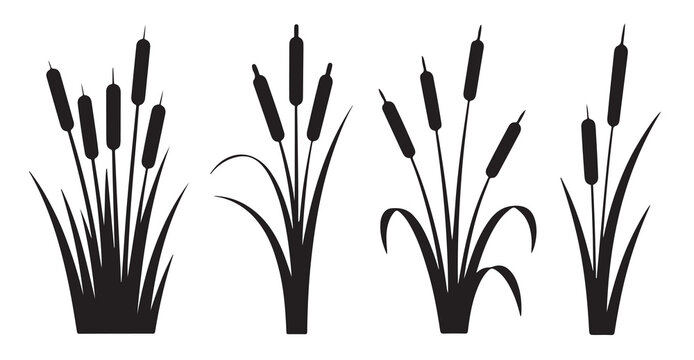  cattail plant silhouette set on plain style