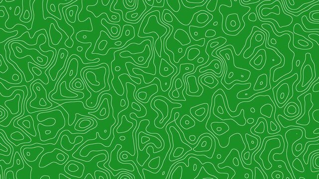 Green Topographic Map Background | Abstract Contour Line Terrain Pattern