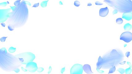 Elegant flying light blue and azure flower petals and feathers falling on white background fresh aesthetic horizontal banner for perfume and fabric softener advertisement
