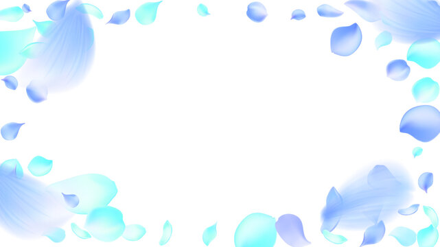 Elegant flying light blue and azure flower petals and feathers falling on white background fresh aesthetic horizontal banner for perfume and fabric softener advertisement