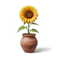 Obraz premium Vibrant sunflower in terracotta pot on white background, symbolizing warmth and happiness