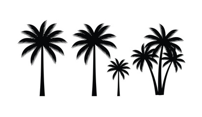 Fototapeta premium Set of black silhouette palm trees