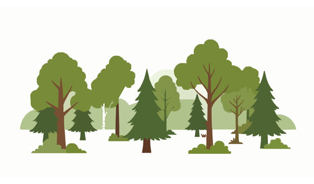 Spring forest vector with green oak, birch, and fir trees flat cartoon nature landscape isolated on white background