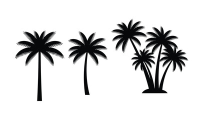 Fototapeta premium Silhouette of palm trees on a, tropical scene with multiple trees isolated