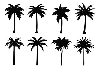  areca palm silhouette set flat illustration on white background