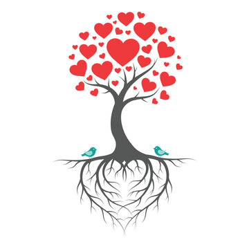 Unique Heart Shaped Root Tree with Blue Birds Sitting on Roots and Dense Heart Canopy