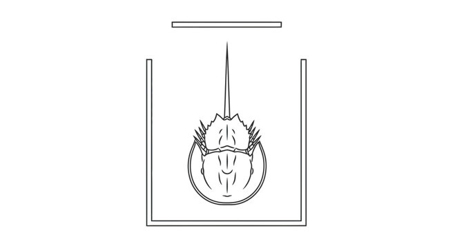Precise continuous line art depiction of a horseshoe crab observed in a clear research vessel